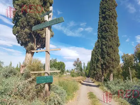 Chacra en Guerrico- Roca