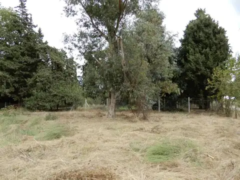 Terreno en Venta de 1500,0 m2