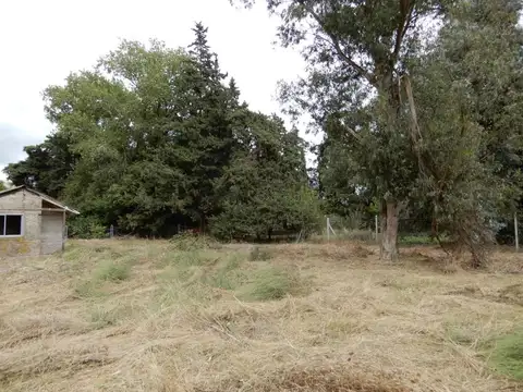 Terreno en Venta 40  mts Fondo