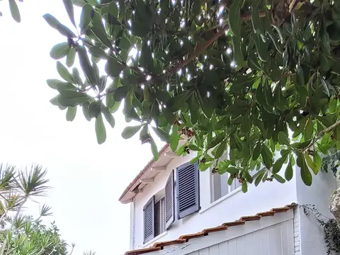 LIBERTADOR AL RIO I EXCELENTE SECTOR I ENCANTADOR CHALET DE 2 PLANTAS I MUY LINDA RECEPCION CON CHIMENEA I TOILLETTE I COCINA I LAVADERO I DEPEND I PLANTA ALTA CON 3 DORMITORIOS Y UN BAÑO COMPLETO I MUY LINDO JARDIN AL FRENTE I GARAGE I COCH VARIOS AUTOS