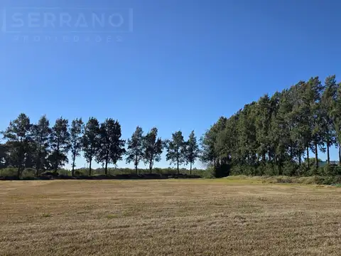 LDO Venta Lotes 1500m2 Gas Natural Electricidad Agua Corriente Barrio Los Pinos