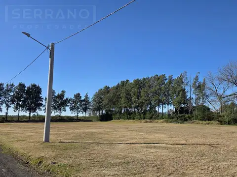 Terreno en Venta 50  mts Fondo