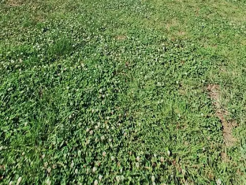 Lote en Fincas La Armonía- ARANA