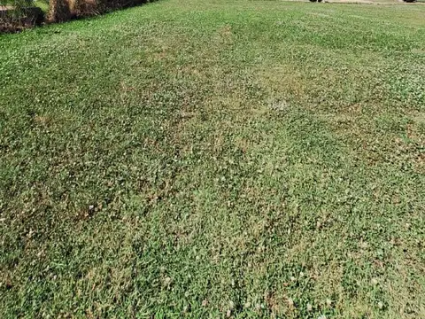 Terreno en Venta de 663,0 m2