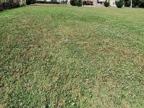 Terreno en Venta 39  mts Fondo