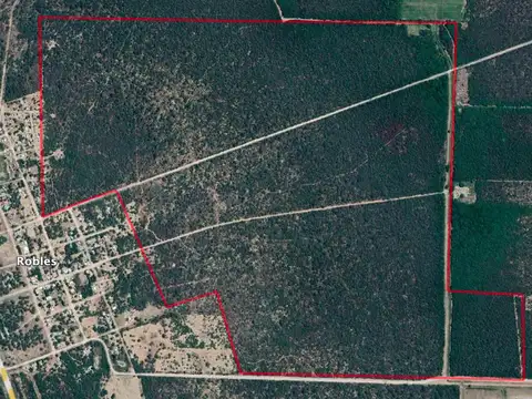 Campo en Estación Robles de 192 hectáreas, apto agricultura y con servicios