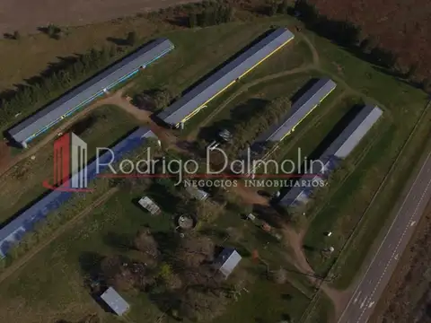 VENDO. Granja Avícola de Crianza de Pollos para Frigorífico.
