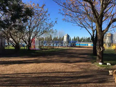 Ruta Nacional 18 200
