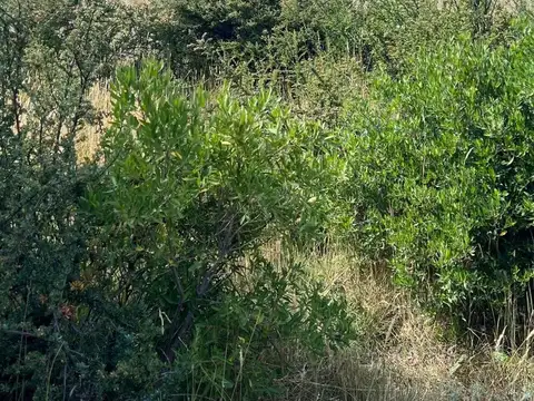 Terreno en Venta en San Carlos de Bariloche, USD 139.000