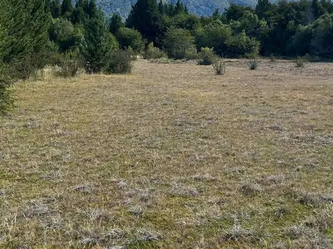 AMPLIO LOTE EN EL OESTE DE BARILOCHE