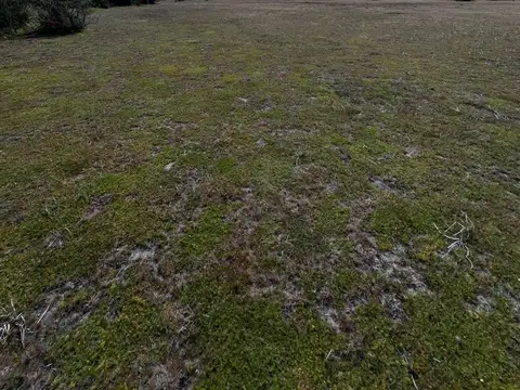 Terreno en Venta de 2244,0 m2