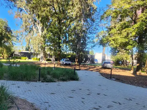 Juan José Paso 7800