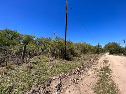 Ruta 228 100