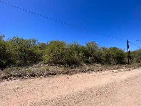 Ruta 228 100