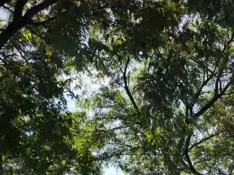 Terreno en venta de 1402m2, ubicado en Praderas de San Lorenzo