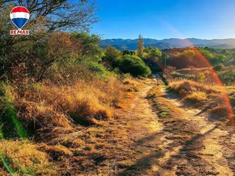 Terreno en Venta de 956,0 m2