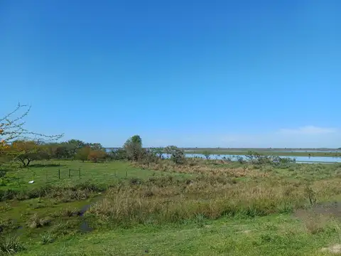 Proyecto para Desarrollo Inmob