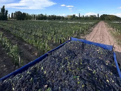 Hermosa finca en venta en Agrelo