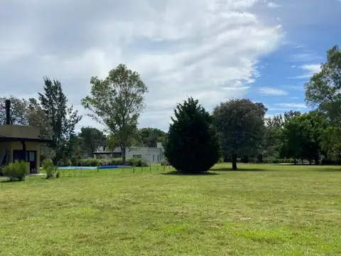 Casuarinas de Pilar 100
