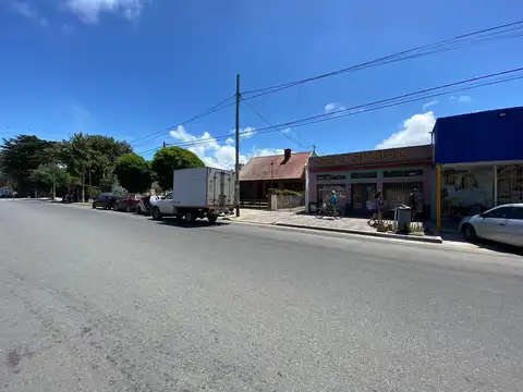 LOCAL CON CHALET PLENO CENTRO- SOBRE AV SAN MARTIN