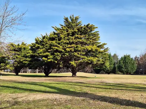 LOTE de terreno en VENTA, La Rinconada, Ibarlucea.