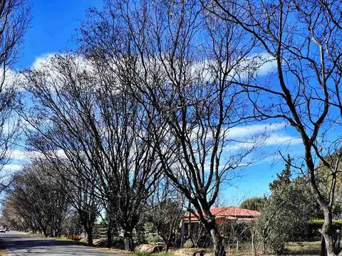 Venta Terreno Las Paredes San Rafael Menzoza
