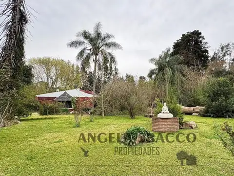 La Zamba, El Remanso.