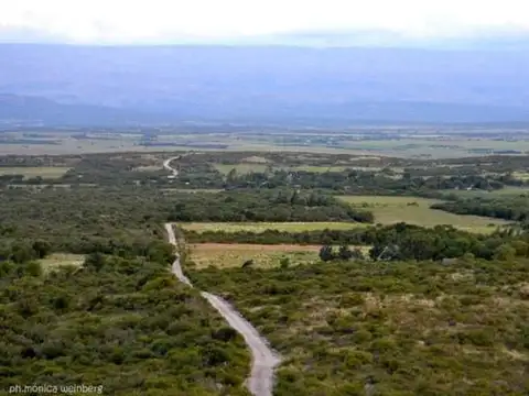 Tasma