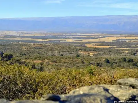 Campo en Venta de 20  ha