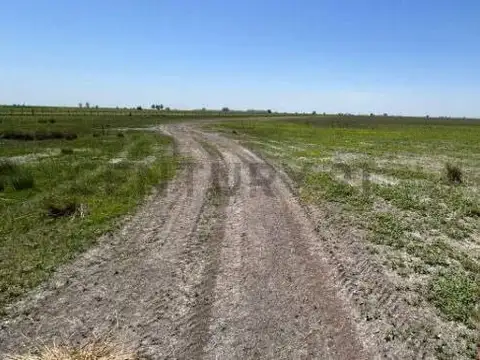 Ruta Provincial 30 km 393