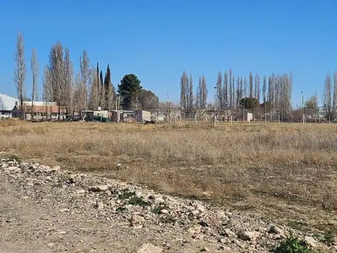 Terreno en Alquiler en Neuquen, $ 2.210.000