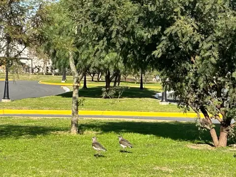 Terreno en Venta de 456,0 m2