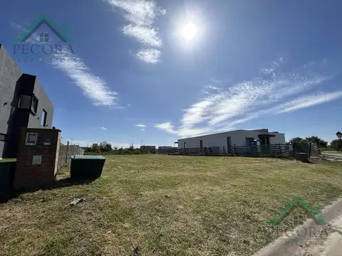 San Sebastian - Area 1 - Lote 478