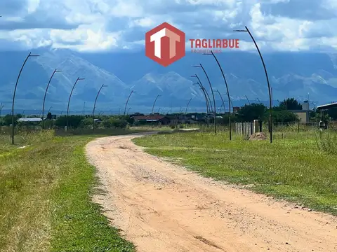 Terreno en Venta 17  mts Frente