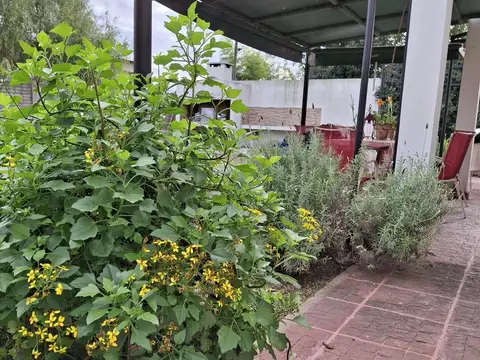 Champagñat C.C.  al 100