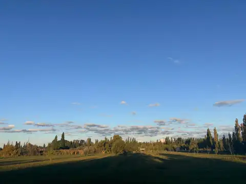 TERRENO DE 3000M2 EN VENTA EN CERVANTES GRAL ROCA