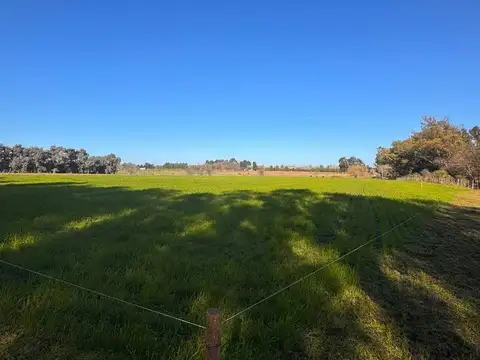 Chacra en venta de 30000m2 ubicado en Luján