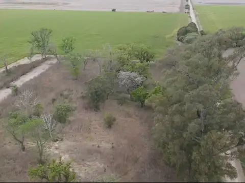 Campo en Venta Agricola