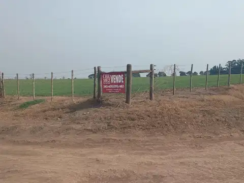 Ruta 11 Y 131