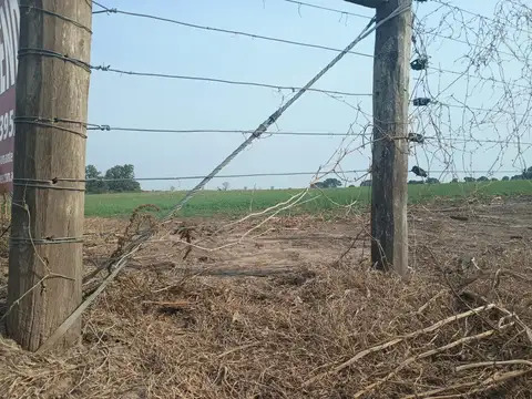 Campo en Venta de 11  ha