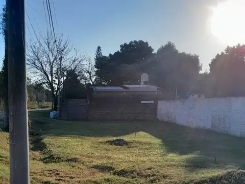 Alfonsina Storni y Alberdi