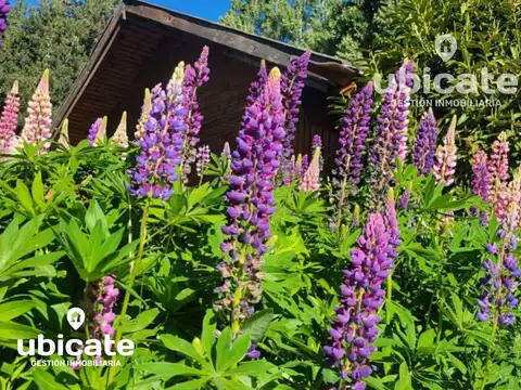 Casa en Alquiler en San Carlos de Bariloche, USD 900