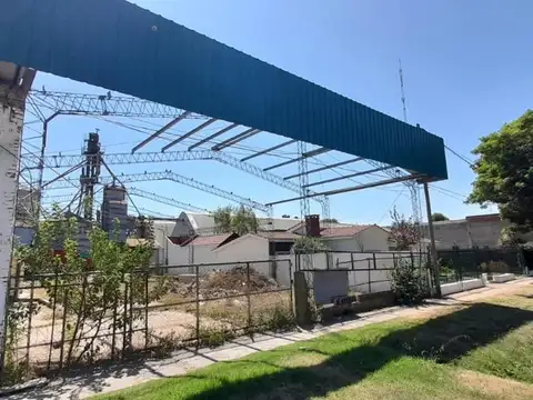 Cafferata  1000