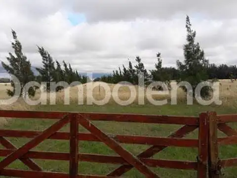 Terreno Campo  en Venta en Punta Indio, Resto de la Provincia, Buenos Aires