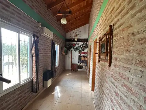 Paloma Torcaza 500