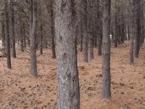 Terreno - Las Marias Del Valle