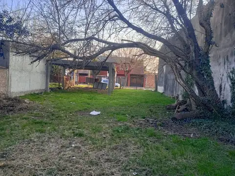 Gervacio Artigas 100