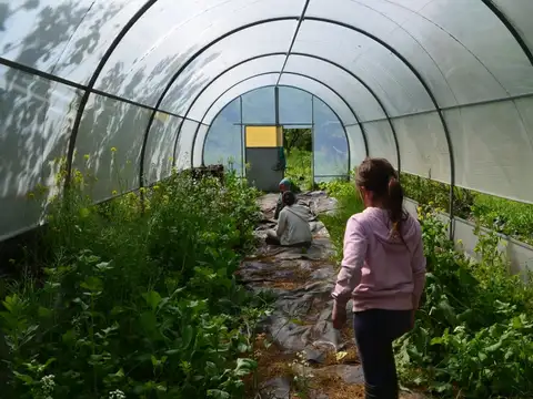 Casa 3 ambientes con 1 baño