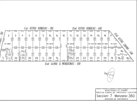 Damas Mendocinas al 600