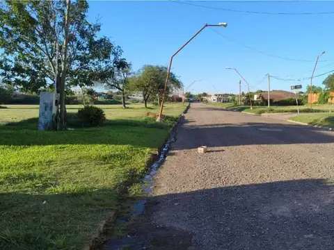 Las Palomas 200